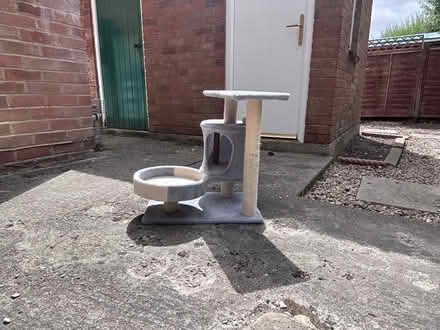Photo of free Small Cat Tree Play Area (Ernest Road OX11) #1