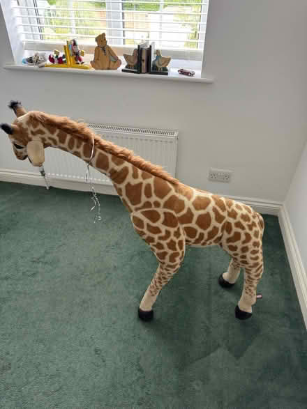 Photo of free Toy giraffe (Rake) #1