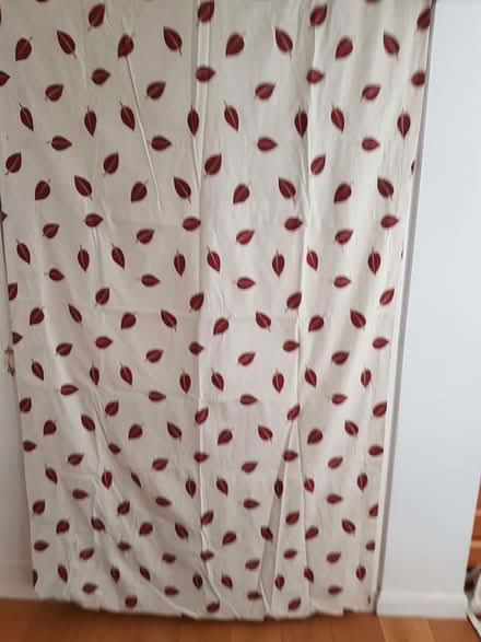 Photo of free Curtains (St Michaels TN30) #1