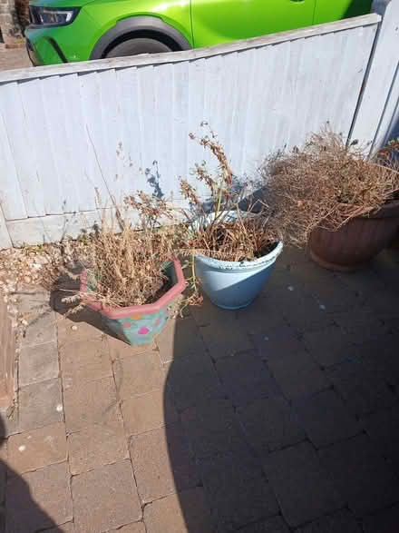 Photo of free Garden pots (Seaside BN22) #2