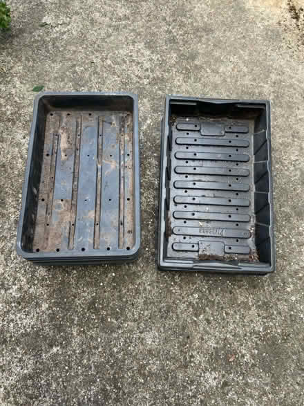 Photo of free 11 x seed trays, as seen (SM4, Morden) #1
