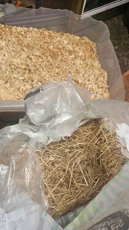 Photo of free hay and straw (Glen Parva LE2) #1