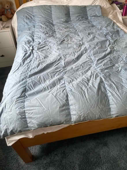 Photo of free Single bed feather/down duvet (Sale M33) #2