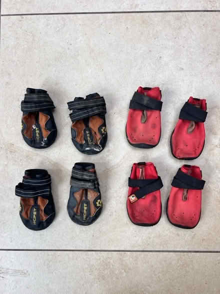 Photo of free Dog paw protective shoes (Clanfield OX18) #1