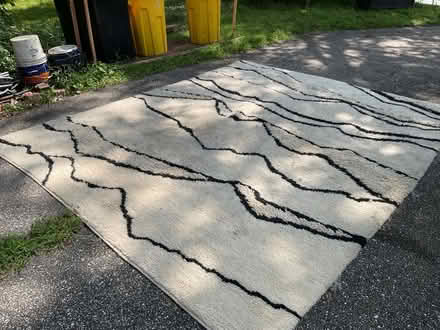 Photo of free West Elm Rug (Severna Park) #1