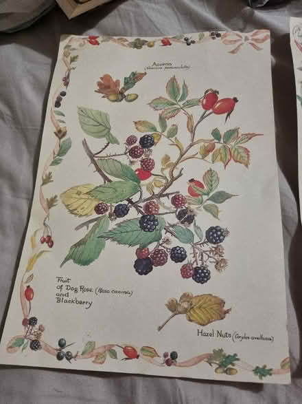 Photo of free 2 thin card floral.pictures (Alperton HA0) #1