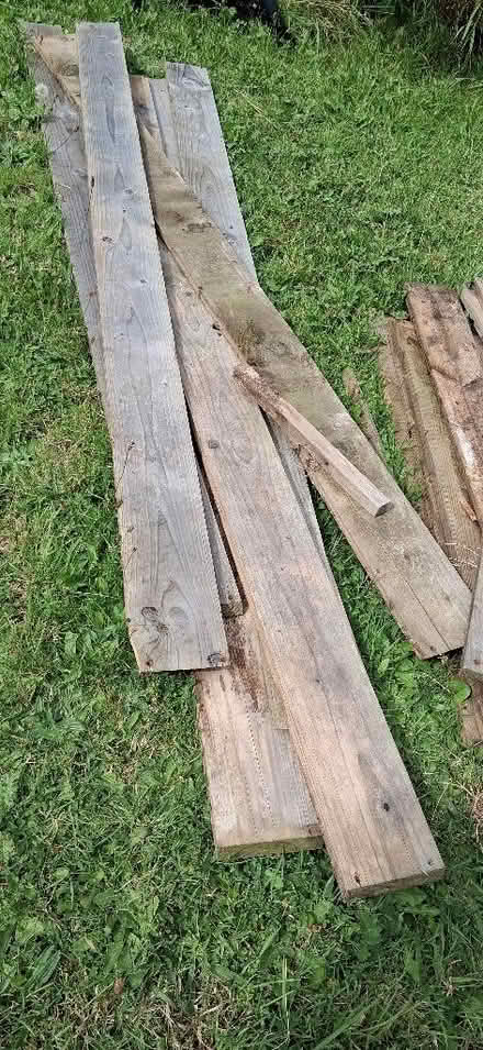 Photo of free Lengths of wood (Middle Division (Main Portion) BT38) #2