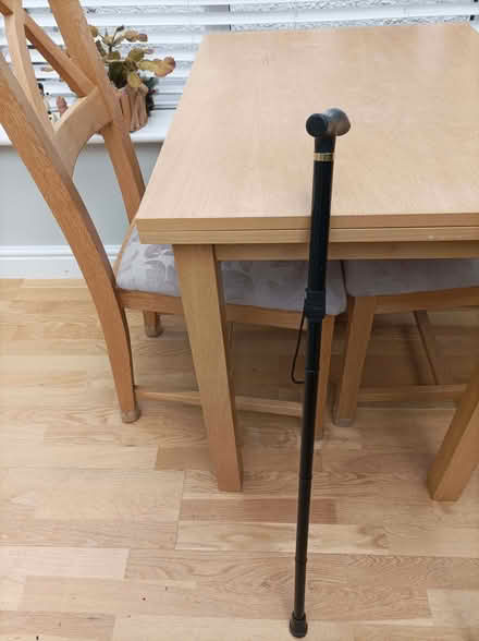 Photo of free Adjustable walking stick (Old Woking GU22) #1