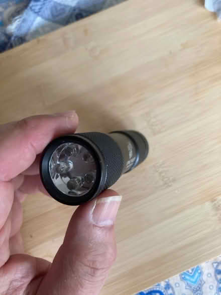 Photo of free Urine finder torch (Filton BS34) #2