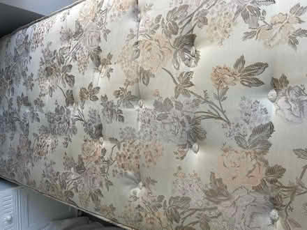 Photo of free Pair of zip and link beds (West Blatchington BN3) #2