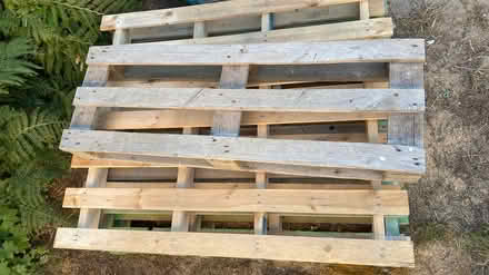 Photo of free Pallets (Mill Lane crowborough TN6) #3