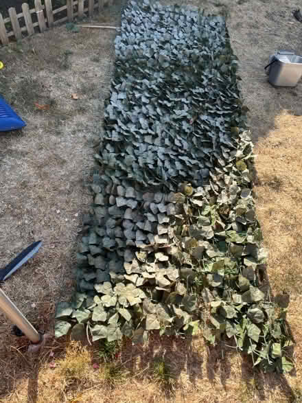 Photo of free Artificial ivy leaf roll (Littlehampton, BN17) #2