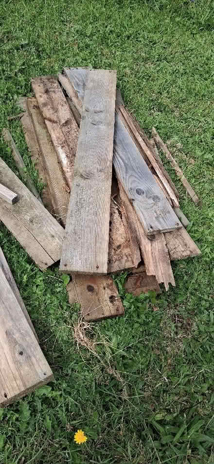 Photo of free Lengths of wood (Middle Division (Main Portion) BT38) #1