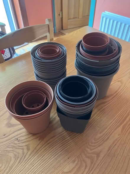 Photo of free Plastic plant pots - various (Silverknowes EH4) #1