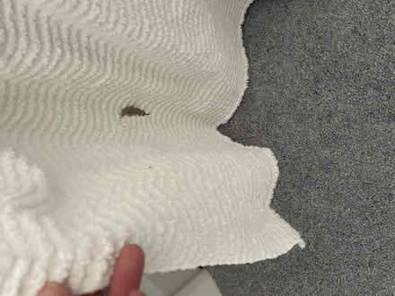 Photo of free Pair of white candlewick bedspreads (West Blatchington BN3) #2