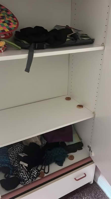 Photo of free Shelves,armoire,standing closet (Teaneck) #3