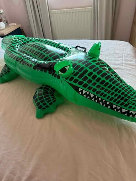 Photo of free Inflatable Crocodile (Crook DL15) #1