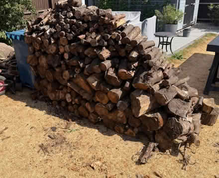 Photo of free Logs (Fazeley Junction B78) #3
