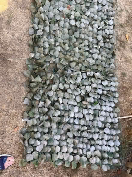 Photo of free Artificial ivy leaf roll (Littlehampton, BN17) #4