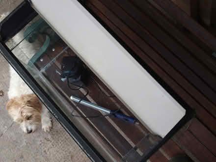 Photo of free 2ft Fish Tank and bits (Perth PH2) #3