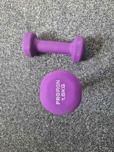 Photo of free Pro Iron 1.5kg Dumbbells (Woking GU21) #1