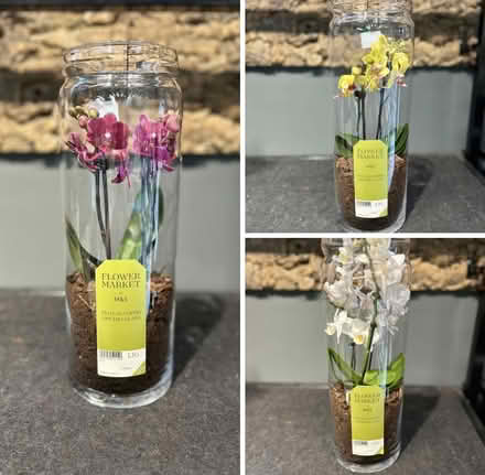 Photo of Orchid Glass Jar (Long Eaton NG10) #1