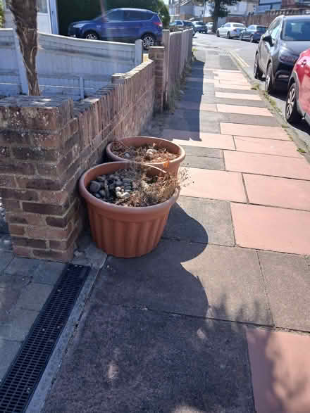 Photo of free Garden pots (Seaside BN22) #4