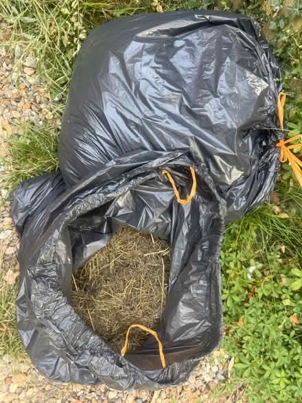 Photo of free Composting dried hrass hay (Lewes Bn7 BN7) #2