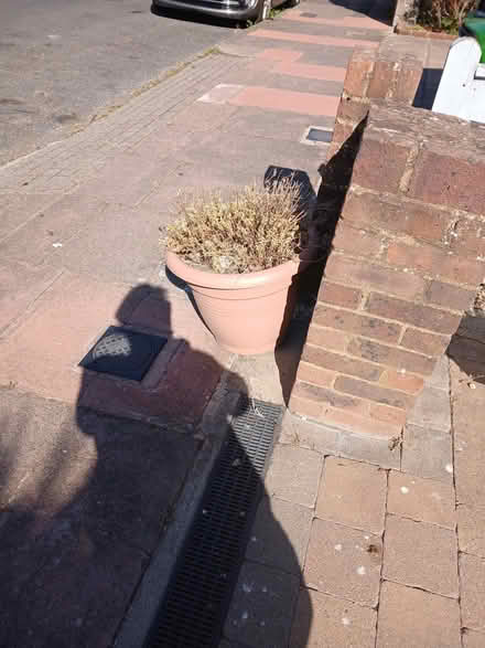 Photo of free Garden pots (Seaside BN22) #3