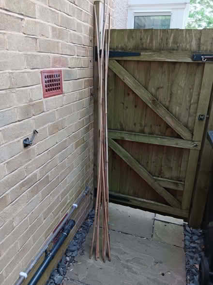 Photo of free Bamboo canes (Oakwood Park EN2) #1