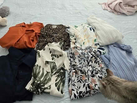 Photo of free Blouses and sweaters (East Side Concord) #1