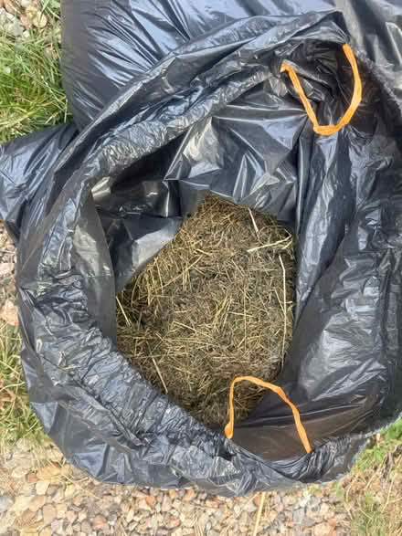 Photo of free Composting dried hrass hay (Lewes Bn7 BN7) #1