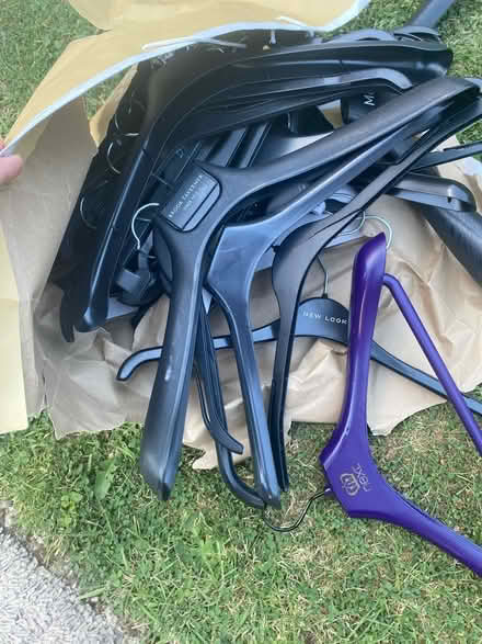 Photo of free Plastic Hangers (Tadworth KT20) #2