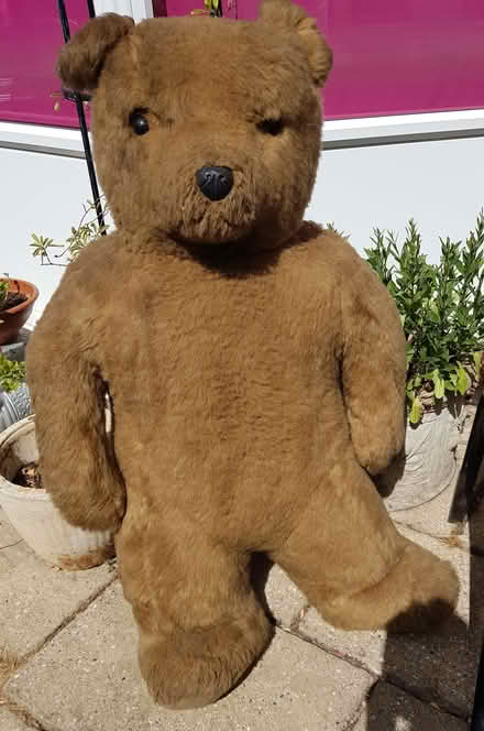 Photo of free Giant Teddy Bear 1.25 Metres Tall (St Michaels TN30) #1