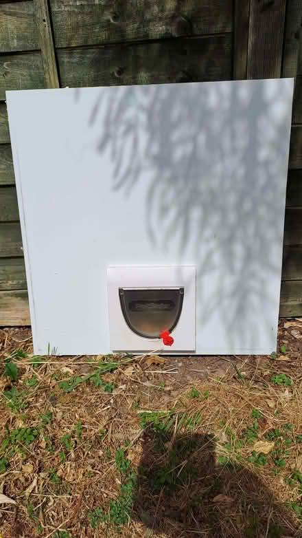 Photo of free Cat flap still in door panel. (Sherrard's Green WR14) #1
