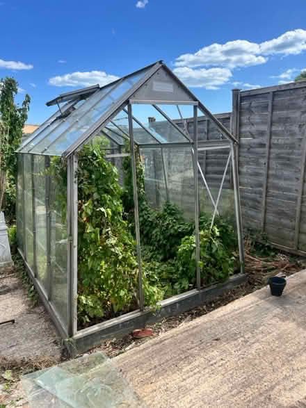 Photo of free Glass panes (Steyning) #1