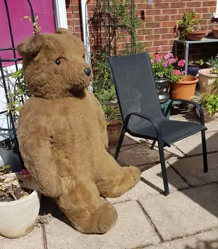 Photo of free Giant Teddy Bear 1.25 Metres Tall (St Michaels TN30) #3