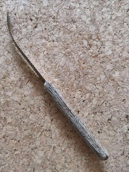 Photo of free Curved grapefruit knife (Henleaze Ward BS9) #1
