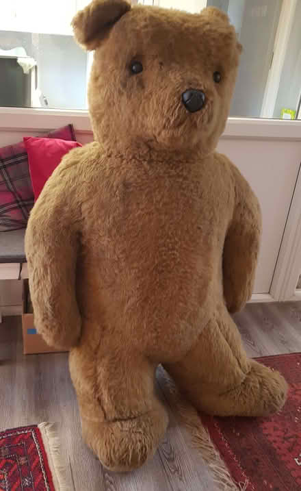 Photo of free Giant Teddy Bear 1.25 Metres Tall (St Michaels TN30) #4