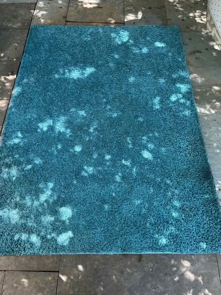 Photo of free Turquoise shaggy rug 5x7 (Chevy Chase DC) #1