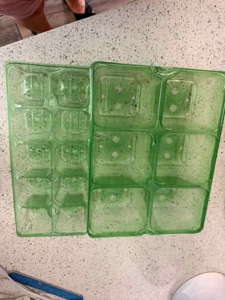 Photo of free 2 Seed Trays (Matlock DE4) #1