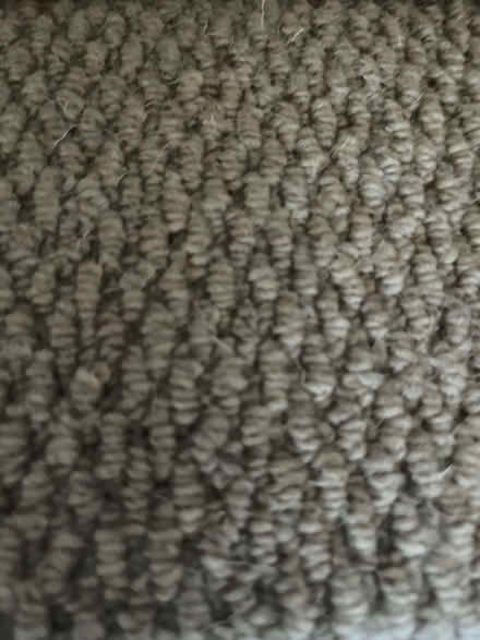 Photo of free 1m x 2m (approx) Roll of Carpet, new. (Nether Green S10) #2