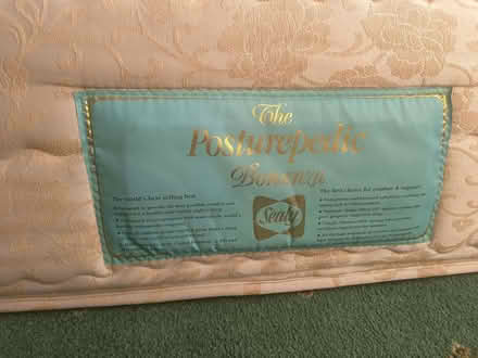 Photo of free Single bed (High Littleton BS39) #2
