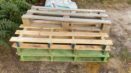 Photo of free Pallets (Mill Lane crowborough TN6) #2