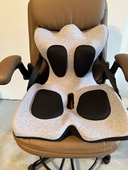 Photo of free Adjustable Lumbar Seat (Wakefield) #1