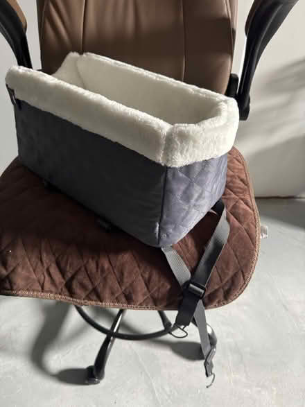 Photo of free Small Car Dog Seat (Wakefield) #4