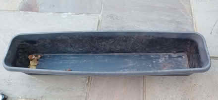 Photo of free Garden planters (Stone Cross BN23) #4