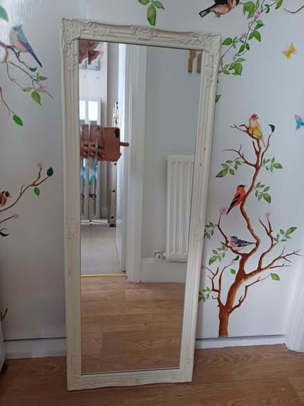 Photo of free Long mirror (Parkham Hill TQ5) #1
