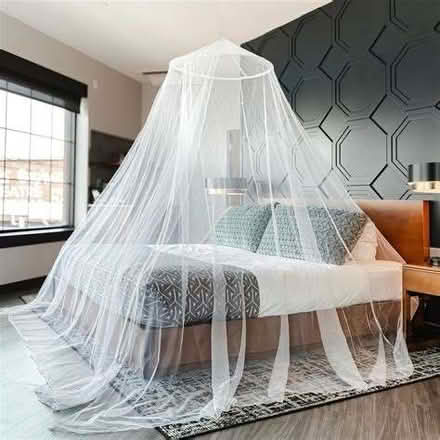 Photo of mesh: log sacks, mosquito net, or large mesh food covers (Kingsmead BA1) #2