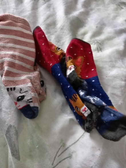 Photo of free Trainer Socks (Maidenhead SL6) #1
